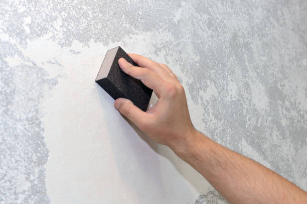 Best HVAC Mold Inspection and Cleaning  in Wantagh, NY