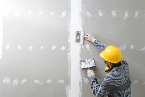 Reliable Wantagh, NY Mold Removal Solutions