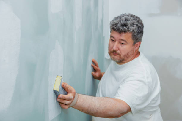 Best Mold Damage Restoration  in Wantagh, NY
