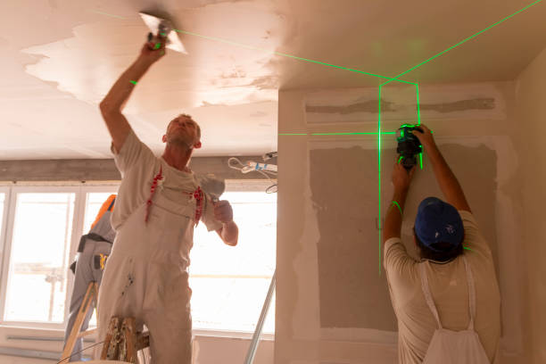 Best Emergency Mold Remediation  in Wantagh, NY